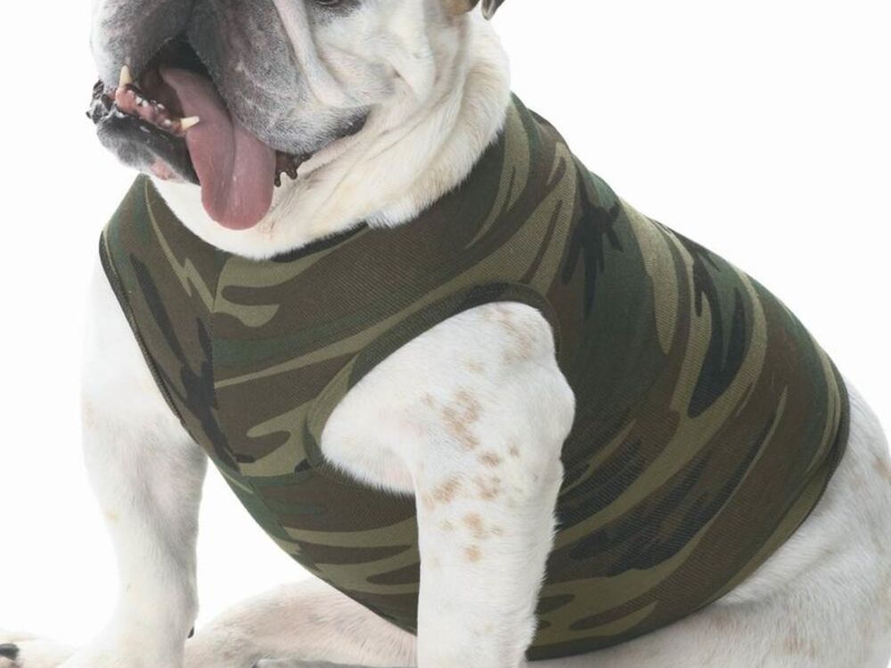 Accessories Thumbnail